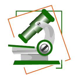 Logo Laboratoire d'analyses médicales Riba Mahmoud Sousse Tunisie - Biochimie Hématologie Immunologie